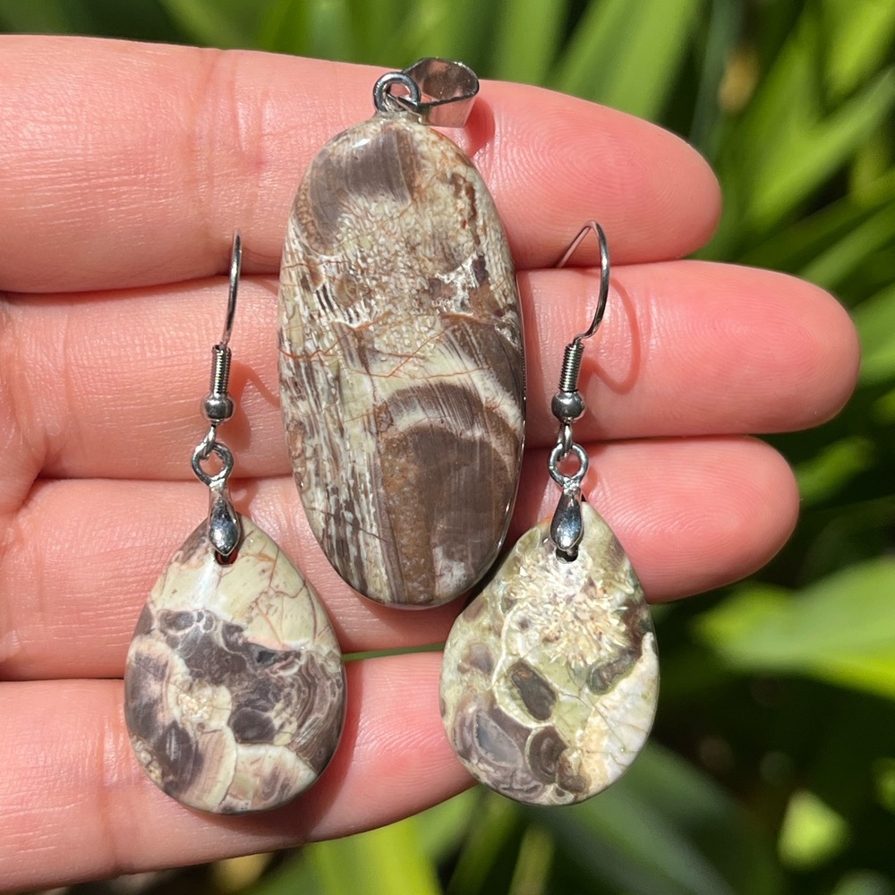 Stainless steel money agate pendant earrings setβ